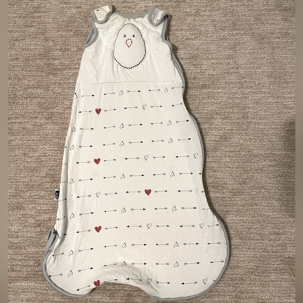 Nested Bean Zen Sack Premier in “Lovestruck” print